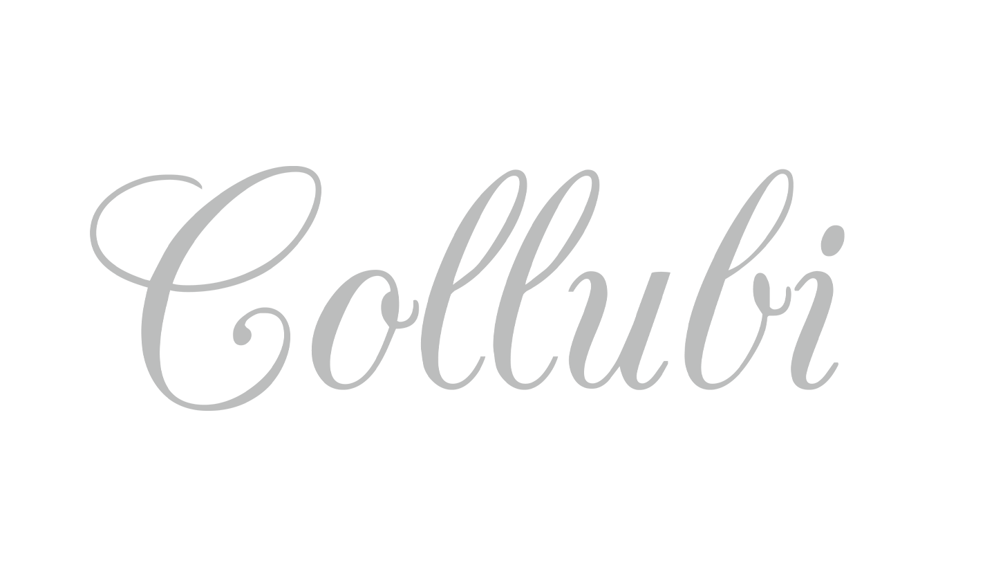 Company Logo 2